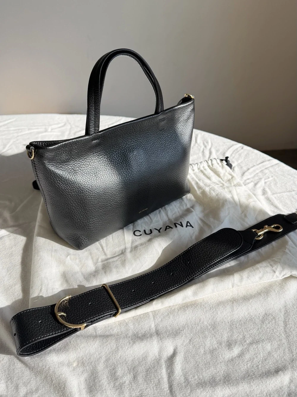 Cuyana Mini Easy Zipper Tote